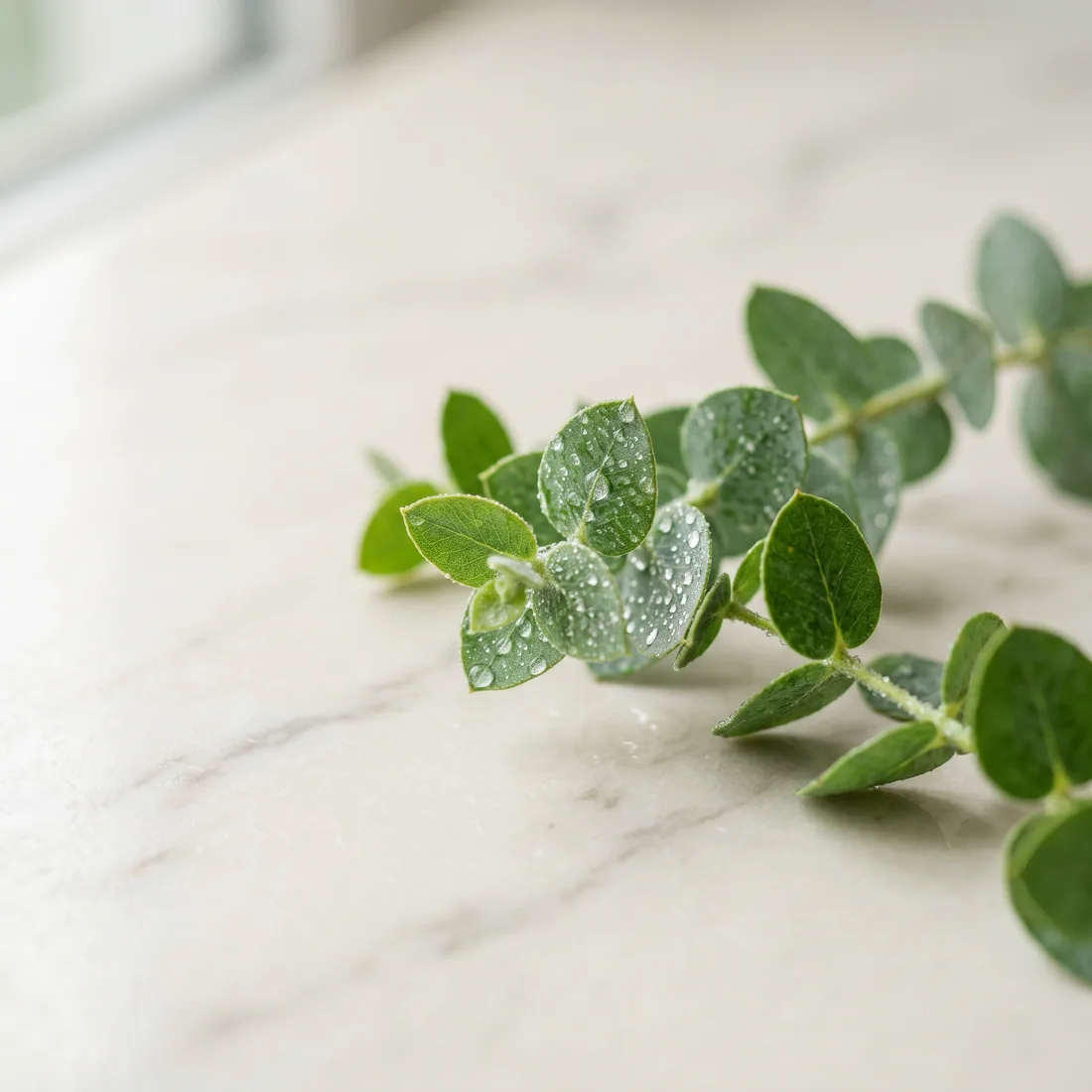 Relieve skincare texture detail